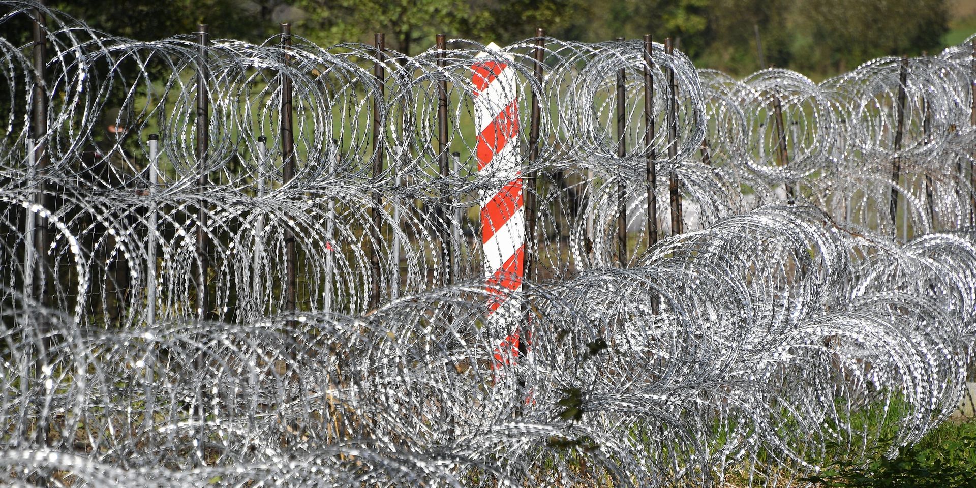 Пограничные столбы на белорусско-польской границе возле деревни Уснар-Дольное - ИноСМИ, 1920, 21.05.2024