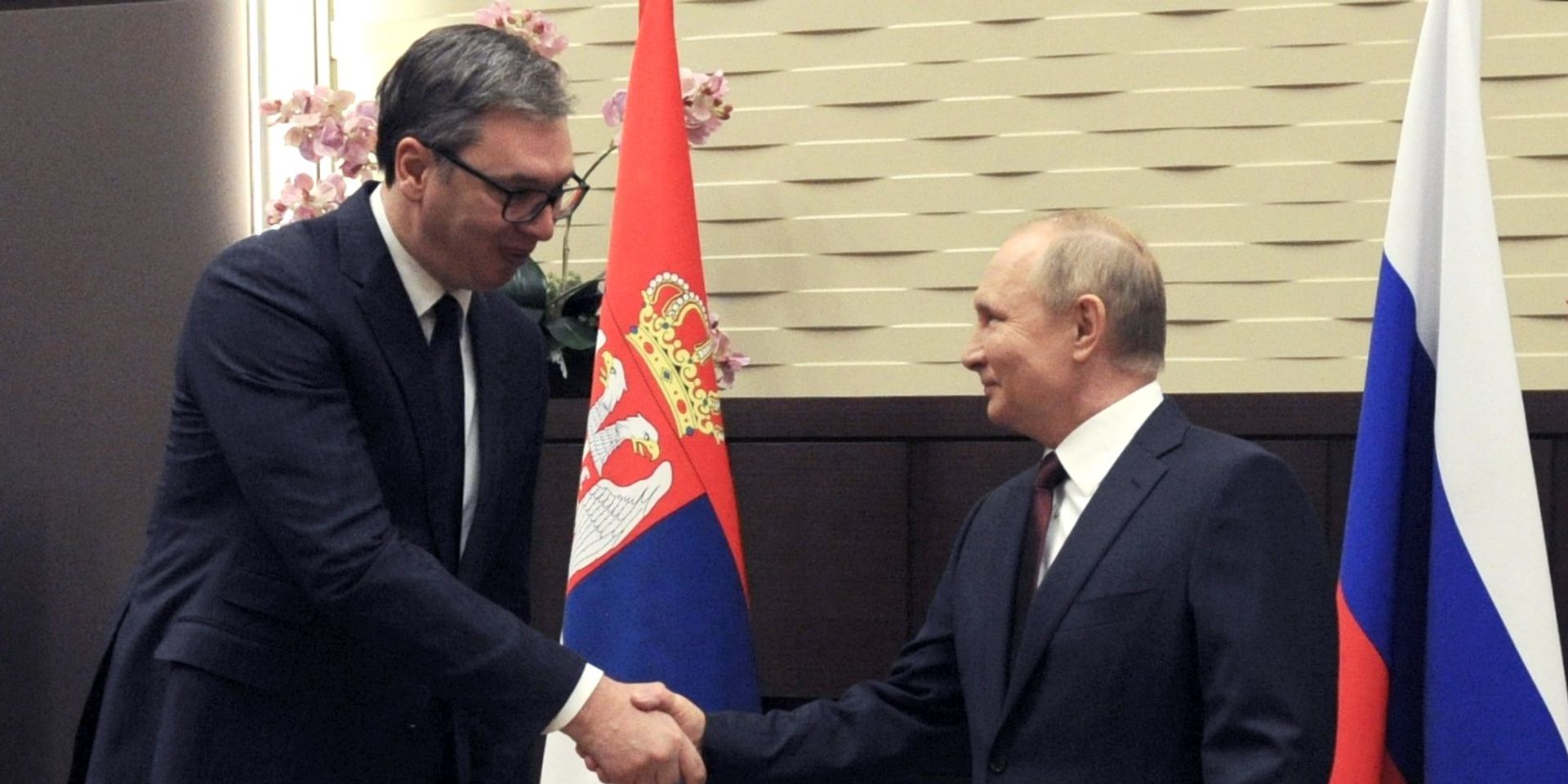 Встреча президента РФ В. Путина с президентом Сербии А. Вучичем - ИноСМИ, 1920, 26.11.2021