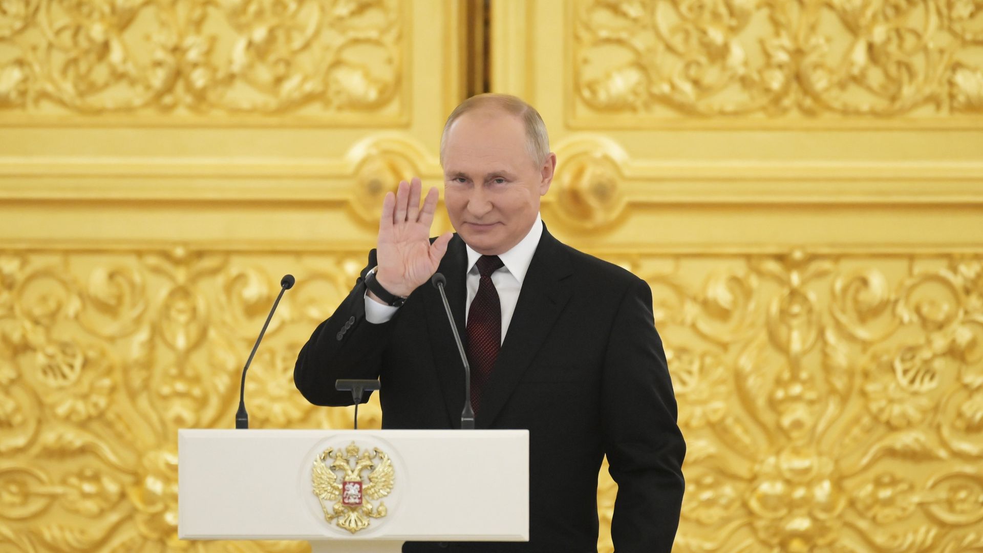 Президент РФ В. Путин принял верительные грамоты у вновь прибывших послов иностранных государств - ИноСМИ, 1920, 05.12.2023
